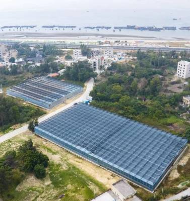 茂名西葛“百千萬工程”示范點(diǎn) 新晉“城市陽(yáng)臺(tái)”網(wǎng)紅打卡地